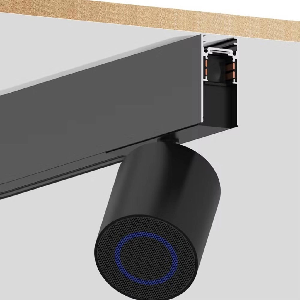 Cassa Speaker Bleutooth per Binario Track Magnetico 48V 20W Audio HI-FI Stereo Negozio Ristorante Showroom
