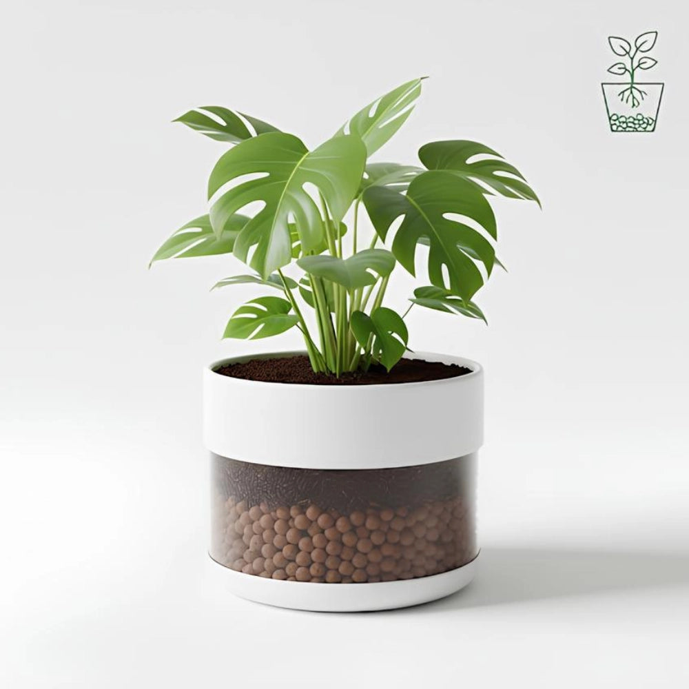 Argilla espansa leggera per piante 50 l 8-20 mm pezzi 10