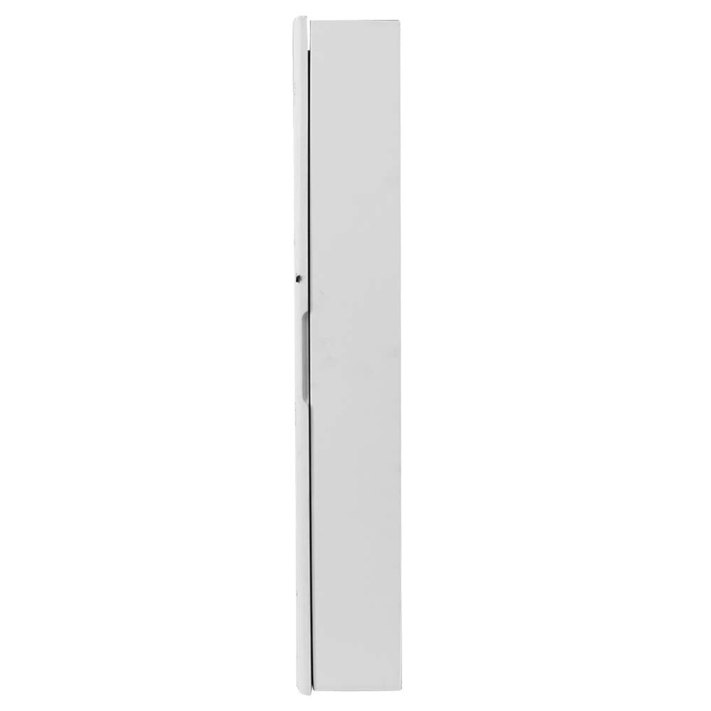 Specchiera Portagioie Parete Armadietto con Specchio Muro Porta Gioielli 60x30cm