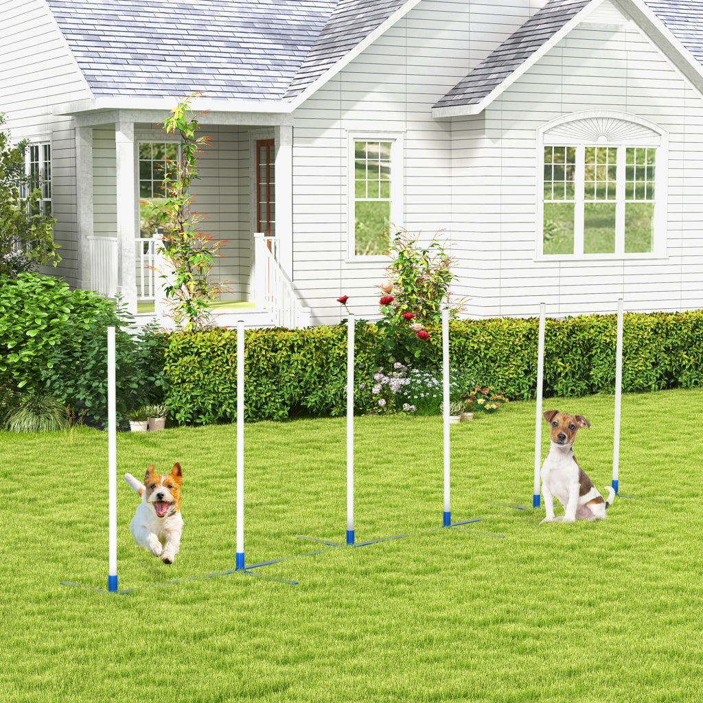 Set Agility per Cani 6 Pezzi ¨C Xylo ¨C Ostacoli Pieghevoli con Slalom e Borsa Trasporto
