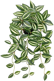 Decorazione di Pianta Artificiale Sospesa con Vaso Pianta Sospesa Reale per Esterno Decorazione di Giardino Camera Ufficio Mensole Binnendecorazione, Lunghezza 50cm, Verde Chlorotico