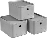 Pacco di 3 Dozzine di Cemento Grigio