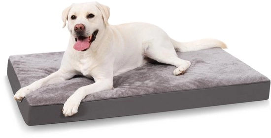 Letto per cani ortopedico per cani grandi e medi, cuscino per cani lavabile, materasso per cani morbido, materasso per cani con copertura rimovibile in grigio scuro, 90 x 55 x 7 cm