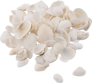 Zeeschelpen 180 g - Schelpa naturale bianca - Decorazioni per schelpa - Tema spiaggia - Attività manuali - Dimensioni 2-4 cm - Decorazioni schelpa