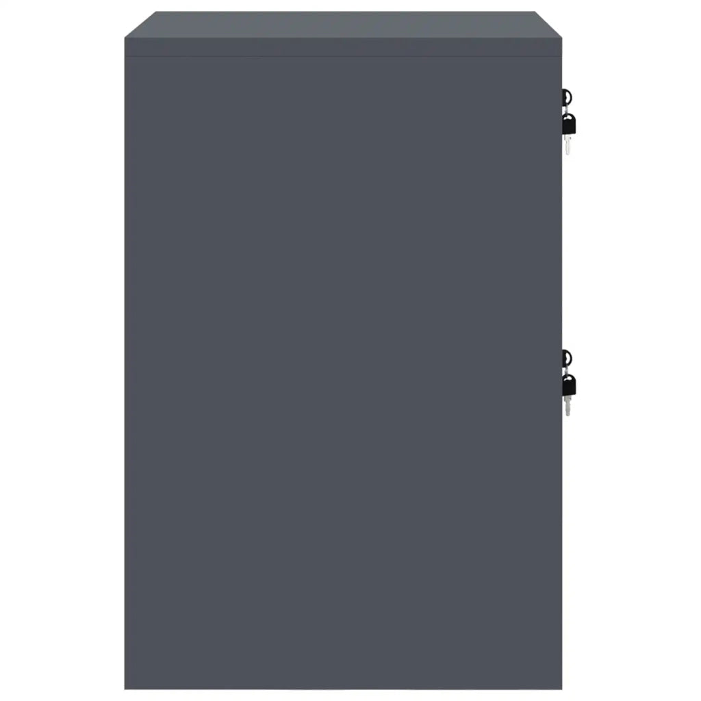 Armadio per File con cassetto Antracite 44 x 50 x 74,5 cm CFW2770988
