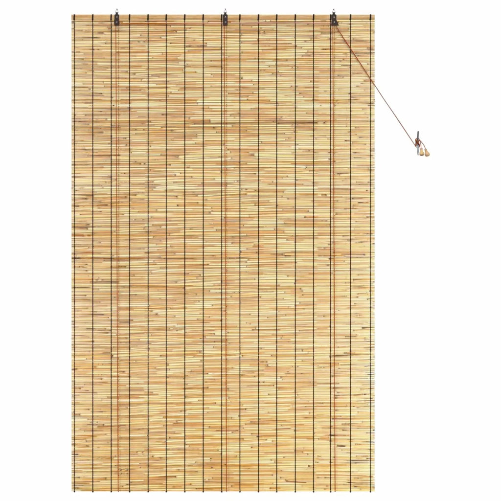 Tenda a rullo Naturale 140 x 220 cm Giunco 42034652