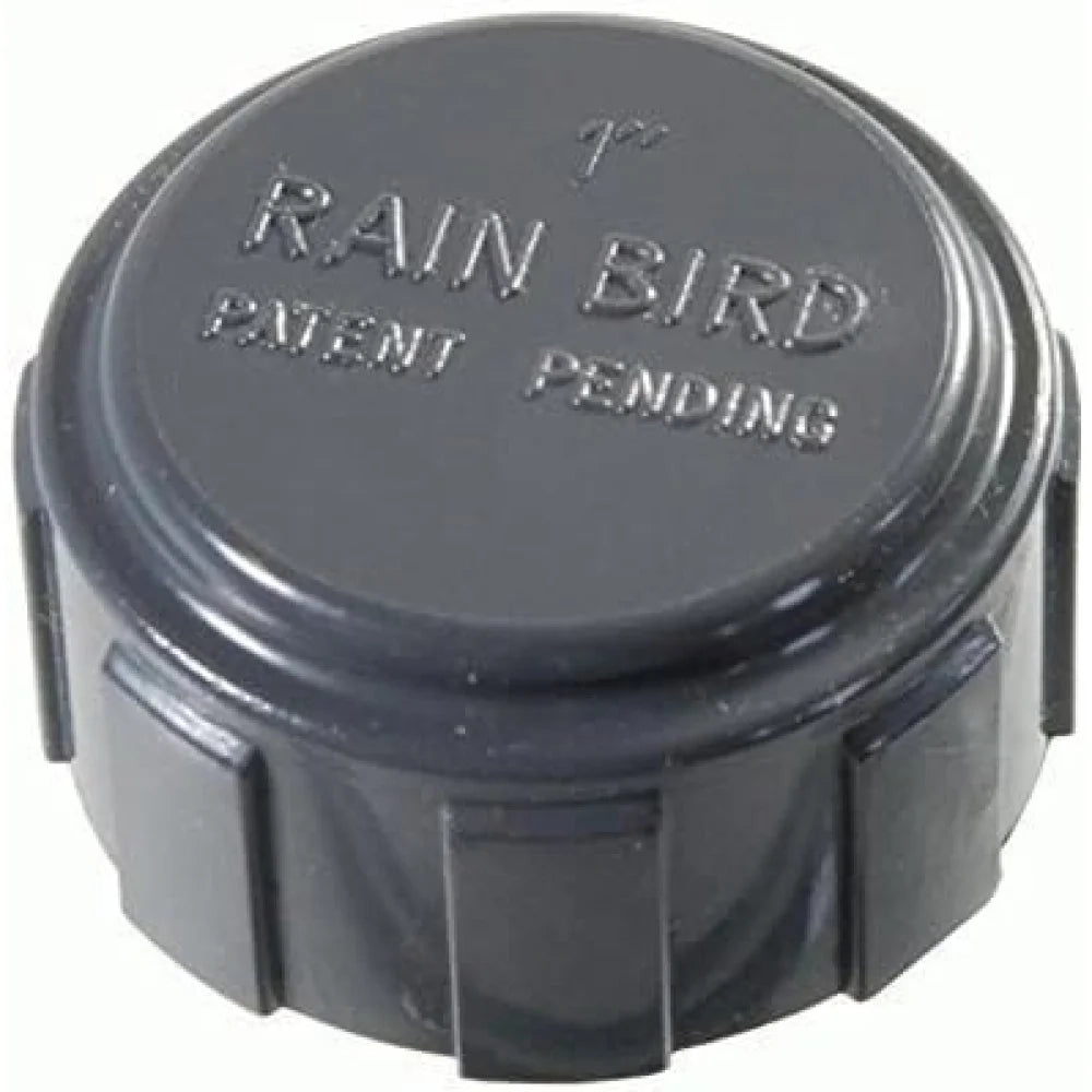 Raccordo pvc distributore rain bird cappello 1 filettatura inter