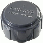 Raccordo pvc distributore rain bird cappello 1 filettatura inter