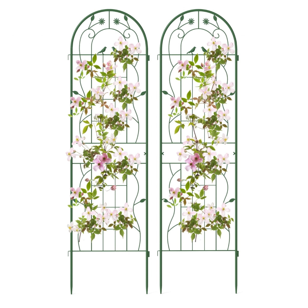 Pacco da 2 di traliccio da giardino in metallo, Supporto decorativo per piante rampicanti rose Verde-Decorazioni da giardino