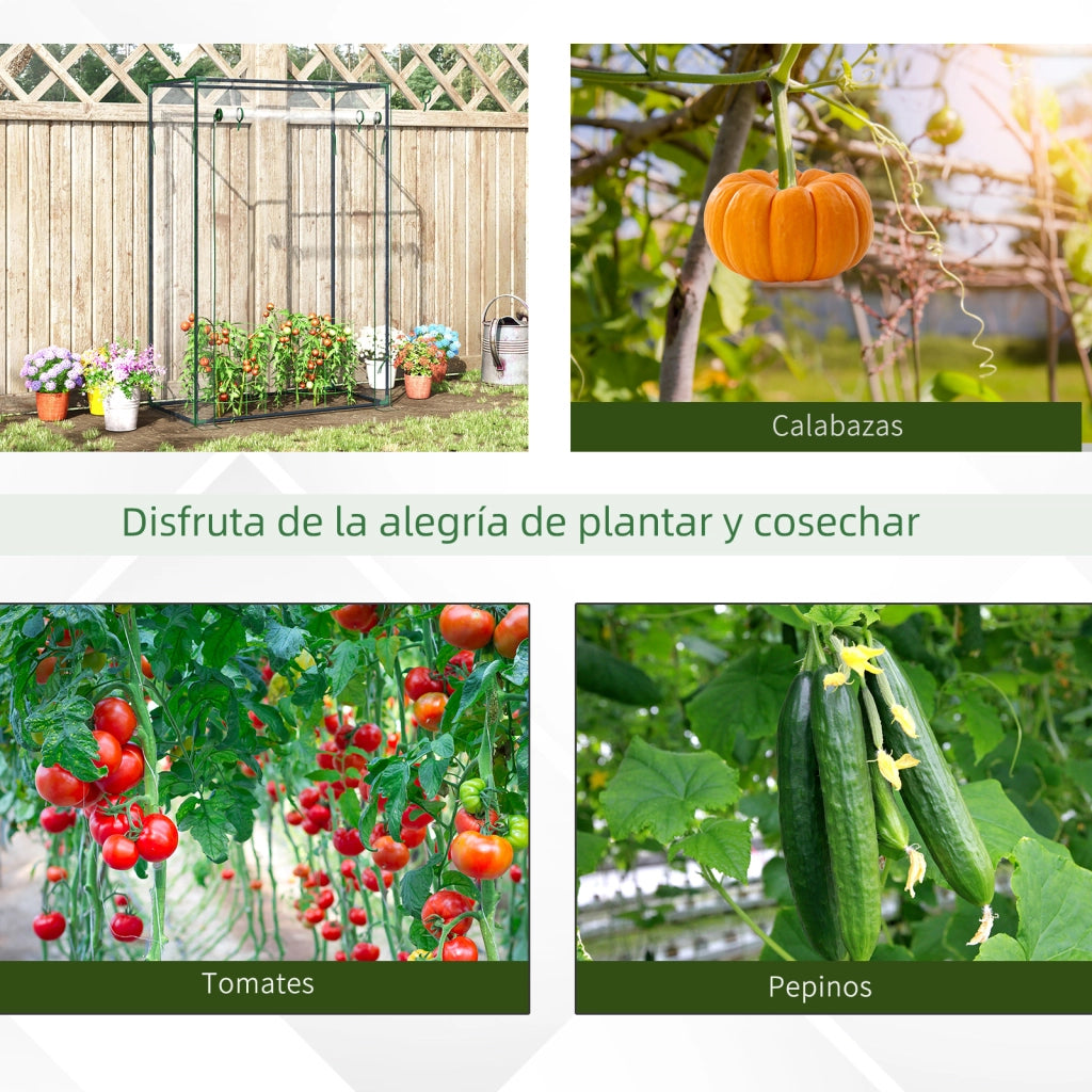 Serra da giardino con porta a rullo e struttura in acciaio ¨C zephmum ¨C 100x50x150 cm trasparente