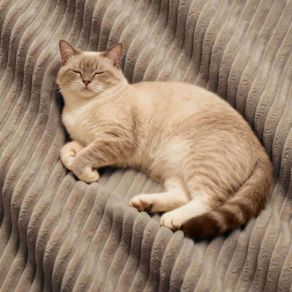 Divano modulare con seduta profonda e design componibile in corduroy marrone