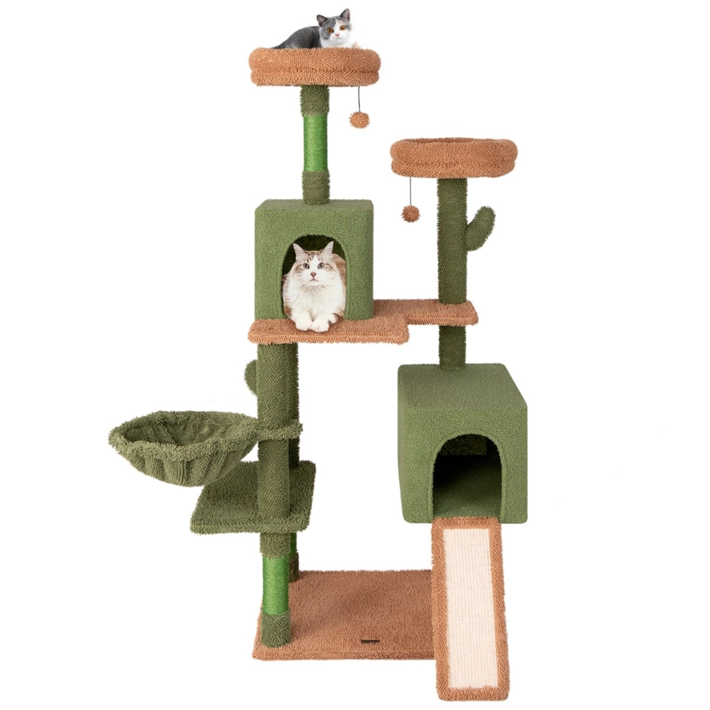 Albero per gatti 160cm a cactus con pali di graffiatura in sisal e scala, Torre per gatti multi-livello Verde-Alberi Tiragraffi