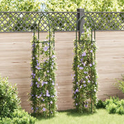 Set Torri ad Arco 2 pz per Piante Rampicanti da Giardino