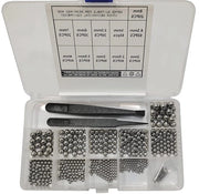 600 pezzi 201 RVs palle in acciaio 11 misure 2-8mm kit di pulizia per palle con 2 pinze