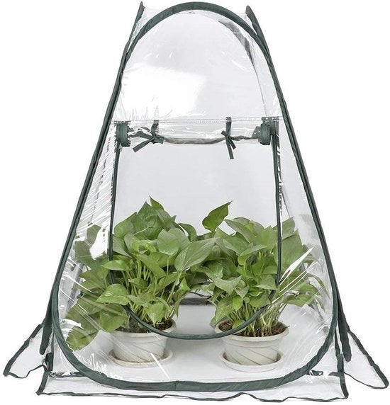 Mini-broeikas per piante - Tenda per l'inverno per vasi fiori Mini-broeikas protezione invernale (70 x 70 x 80 cm)