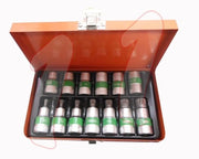 KIT CHIAVE A BUSSOLE BUSSOLA TORX TIPO MILLERIGHE 13 PEZZI