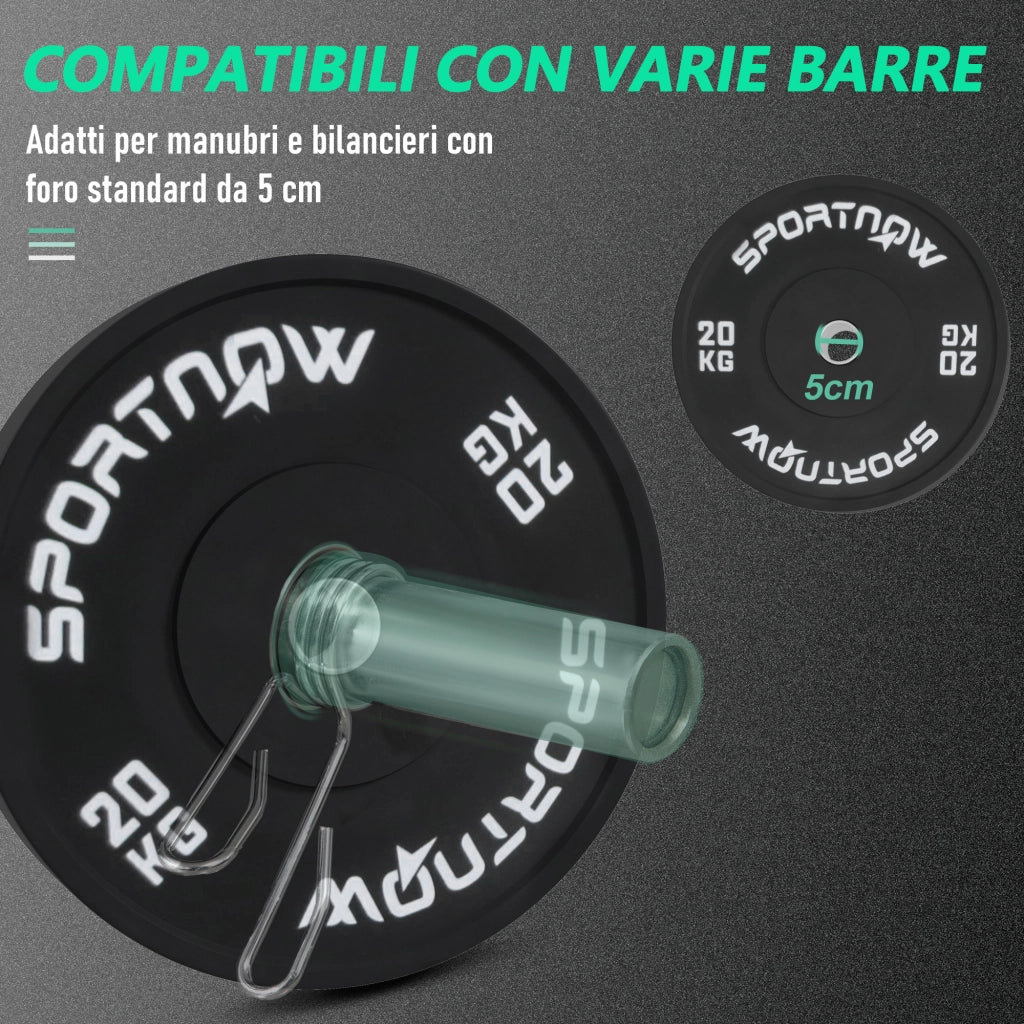 Set di 2 Dischi Palestra da 20kg per Bilanciere e Manubri con Attacco ?5cm, Nero