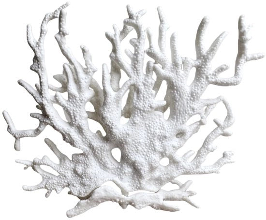 Decorazione corallina realistica - accessori acquario - 1 pezzo - 12 x 15 cm - plastica