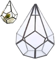 Terrario Geometrico - Contenitore per Terrario - Vaso per Piante da Tavolo - Decorazione Bohemien - Vaso per Piante in Legno - Piante Decorative in Legno 

Modello: 
Specifica: 
Codice: 
Dimensioni: 
Materiali: