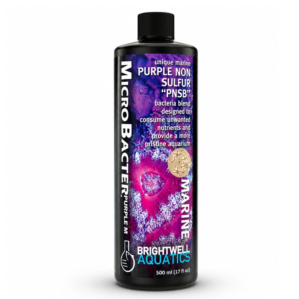 Brightwell Aquatics MicroBacter Purple M 500ml - attivatore batterico con batteri PNSB per acqua marina