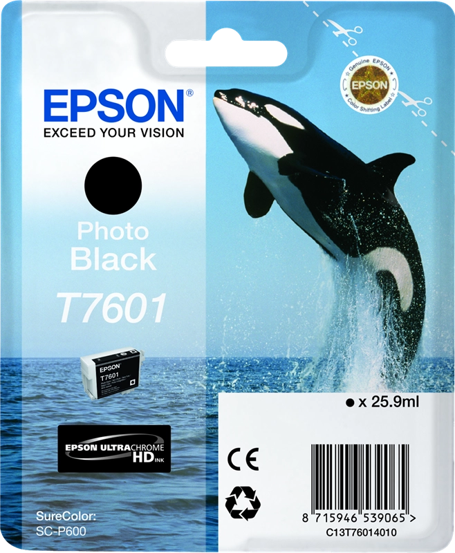 Epson Nero Photo T7601
