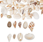 72 Pezzi di Pendenti Naturali a Conchiglia per Gioielli e Decorazioni