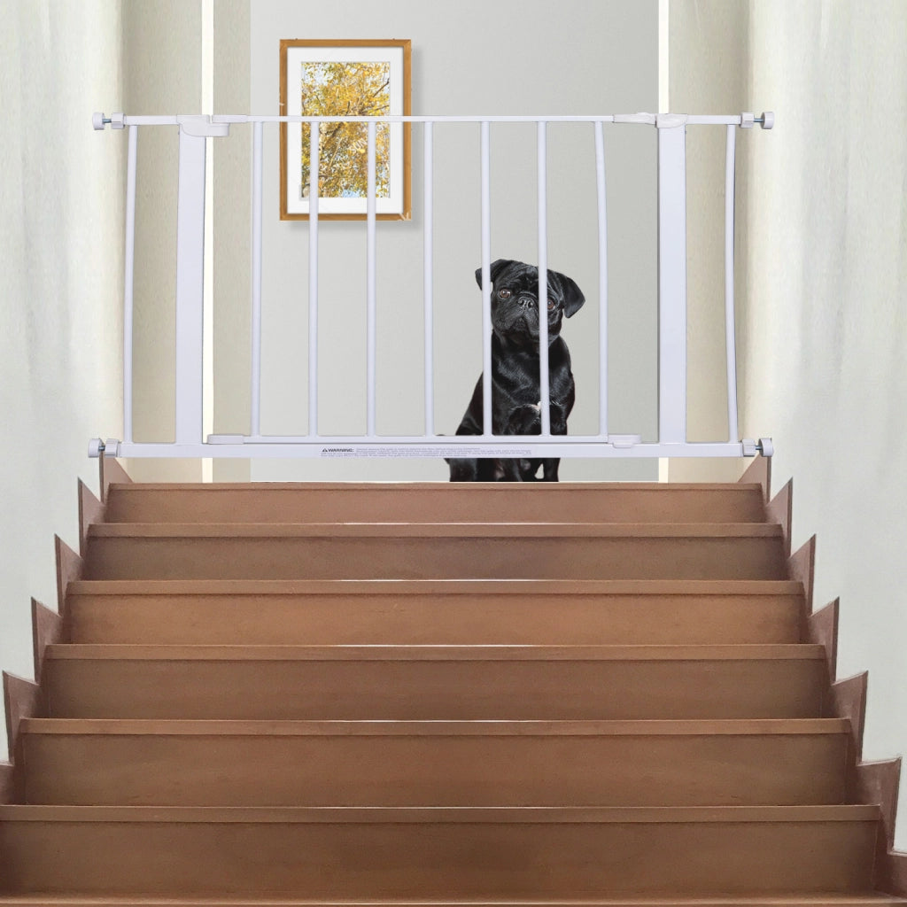 Cancelletto di Sicurezza per Animali Allargabile ¨C zephmum ¨C Bianco Acciaio 76x76-82 cm