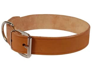 COLLARE PER CANI CUOIO EXTRA NATURALE CON FINTA CUCITURA- - cm.44x2 cuoio naturale - 6 pezzi
