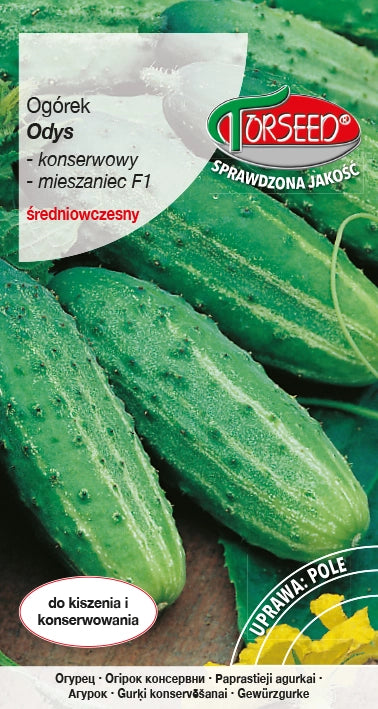 Cetriolo sottaceto Odys F1 5g