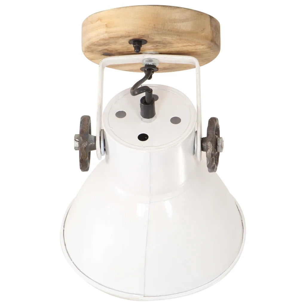 Lampade da Parete/Soffitto 2 pz Industriale Bianca 20x25 cm E27 CFW8867364