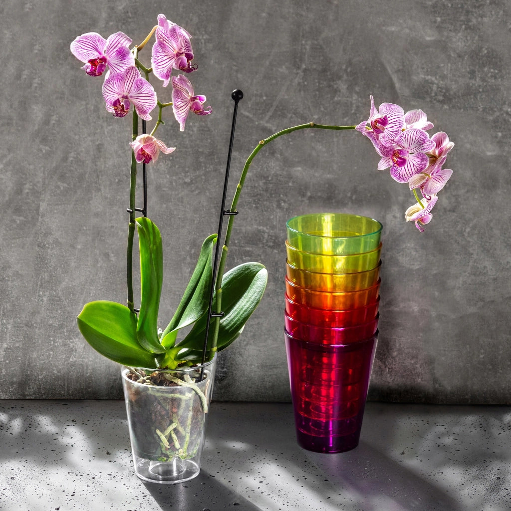 Vaso per orchidee KADAX in plastica, 12 cm, viola