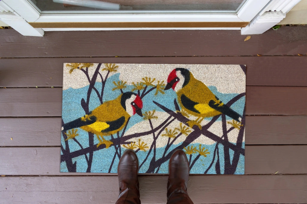 Zerbino Ingresso Casa In Fibra Di Cocco Con Base In Pvc  Birdies