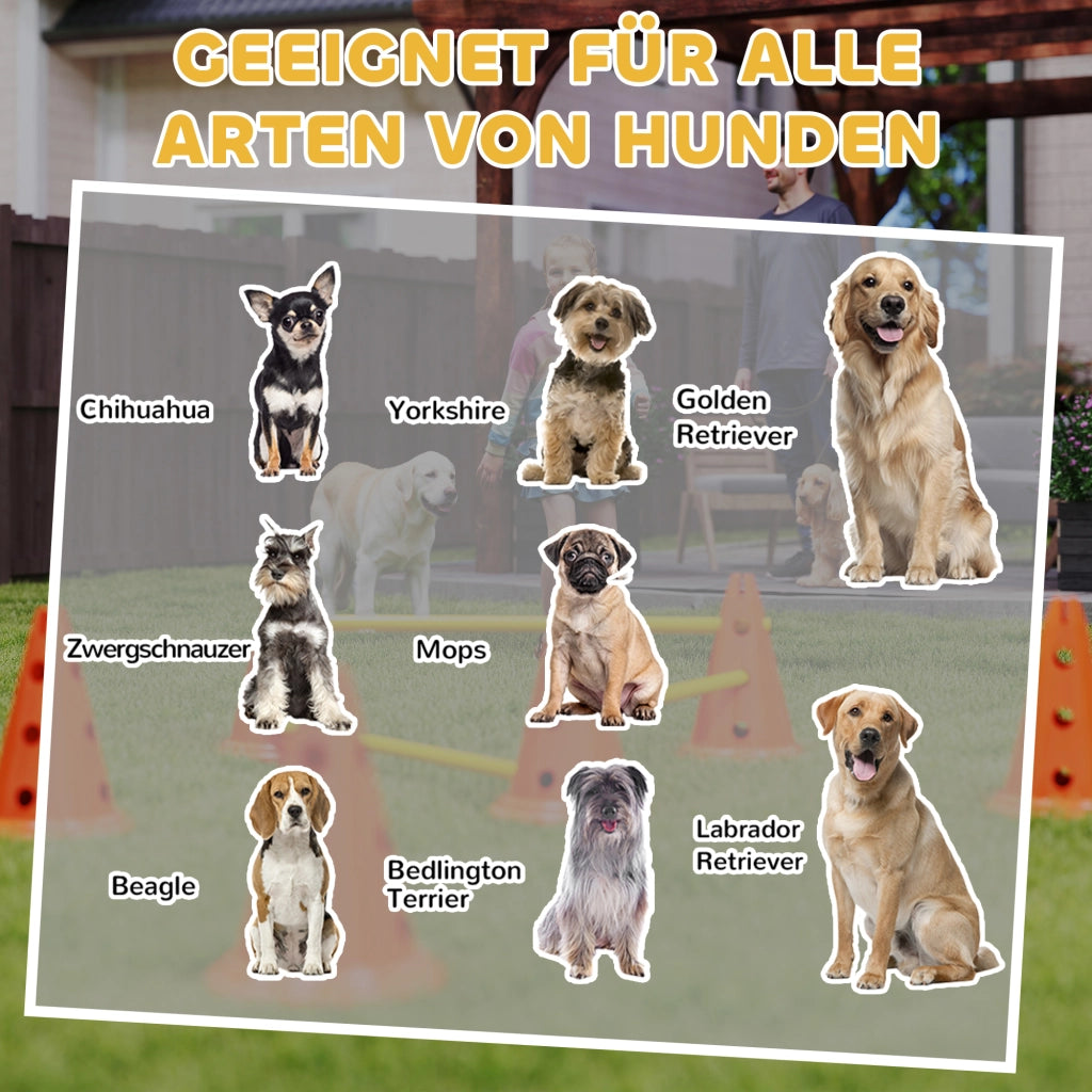 Set Agility per Cani 6 Pezzi ¨C Minimal ¨C 12 Coni 6 Ostacoli Borsa Trasporto