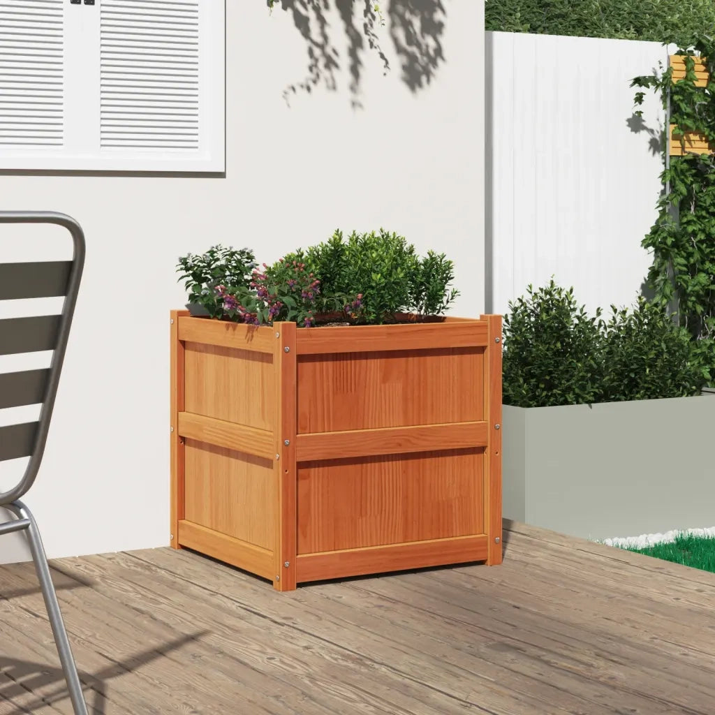 Fioriera Giardino-Vaso da Esterno-Contenitore per Piante Marrone Cera 60x60x60 cm Legno Massello Pino
