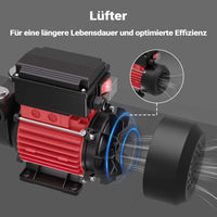 Pompa autoadescante diesel & gasolio 230V 60l/min per trasferimento liquido