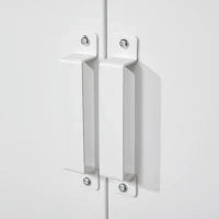 Armadio in Metallo con 2 Porte e 2 Ripiani Regolabili Mobile Multifunzione per Ufficio Salotto Camera da Letto 75x33x110cm Bianco