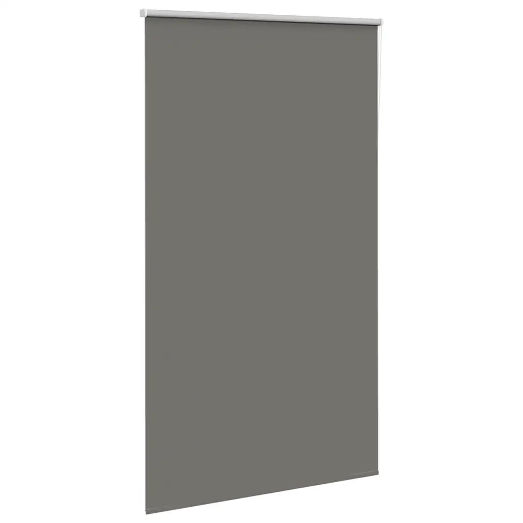 Tenda a Rullo Oscurante 120x210 cm Larghezza Tessuto 116,6 cm 4011184