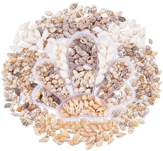 Decorative Shell Set 460 Pieces - Mini Shells - Natural Spiral - Ideal for Making Jewelry - DIY Handicraft - Suitable for Earrings
