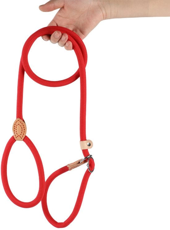 Cinturone per cani da 150 cm, con meccanismo di regolazione, adatto per cuccioli, cani piccoli, medi e grandi. 14mm*150cm, Rosso