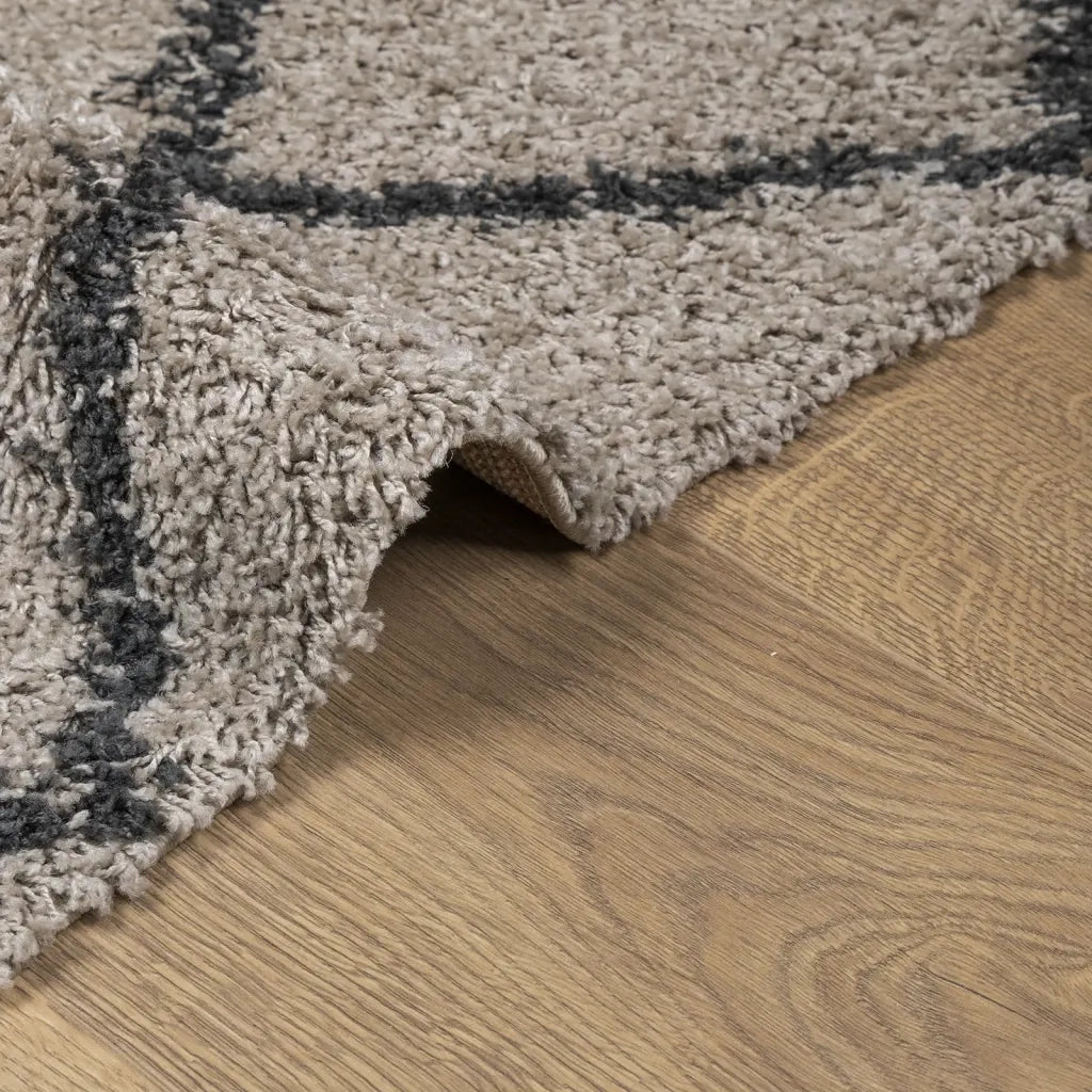 Tappeto Shaggy PAMPLONA a Pelo Lungo Beige e Antracite 80x250cm 375385