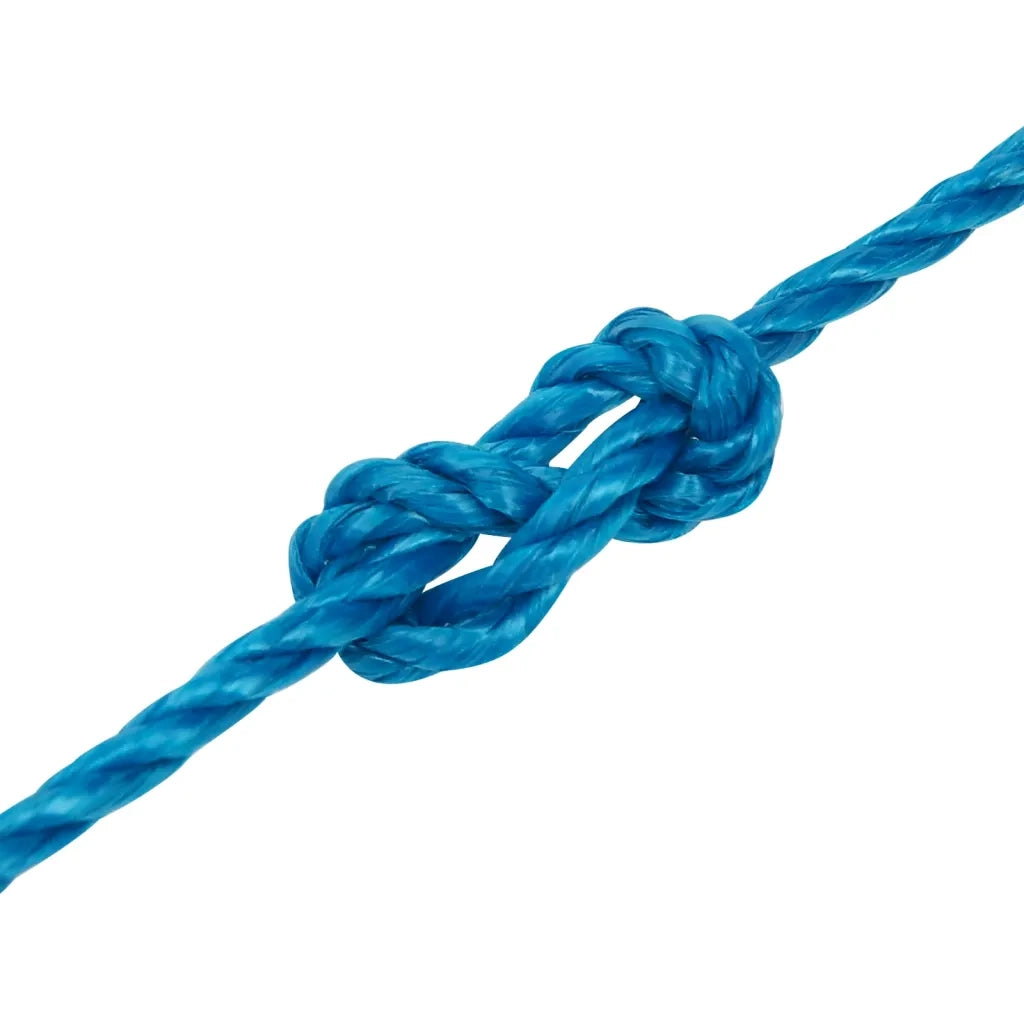 Corda da Lavoro Blu 3 mm 250 m in Polipropilene 152960