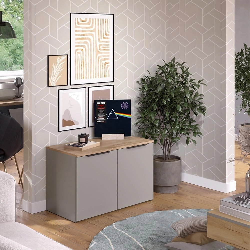 Credenza Wido, Grigio, 80 x 50 cm con 2 porte, adatto per riporre abiti e oggetti per la casa