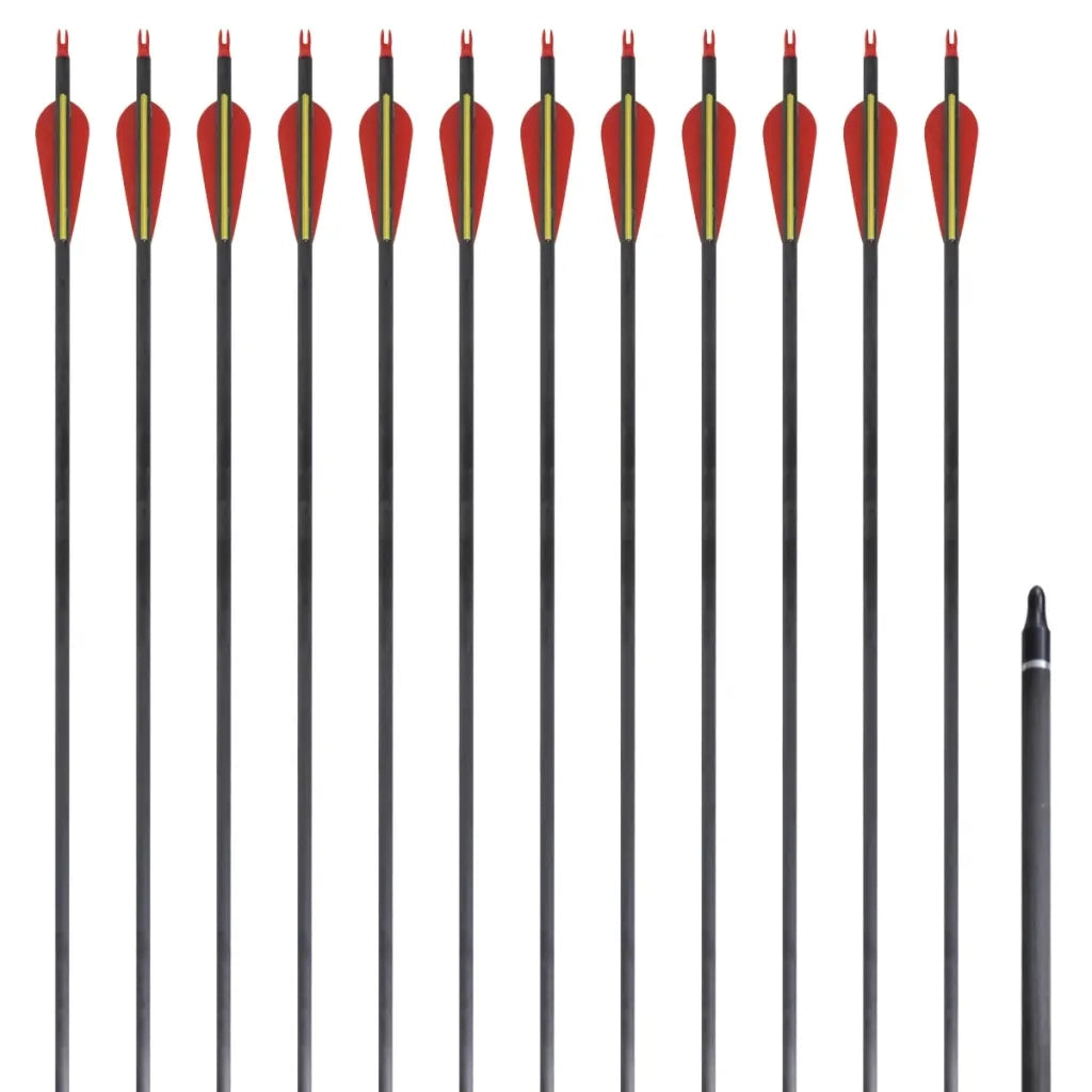 Frecce Standard 12 pz per Arco Ricurvo 30" 0,76 cm in Carbonio