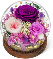 Rosa Eterna in Vetro con Luce - Rosa in Vetro Duraturo - Luce a Sfondo Viola - Regalo per Donna - Natale - Compleanno - Anniversario
