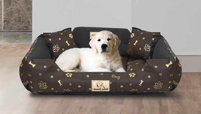 AIO FACTORY 75x65 cm KINGDOG Cuccia per cani impermeabile personalizzabile Golden Bones