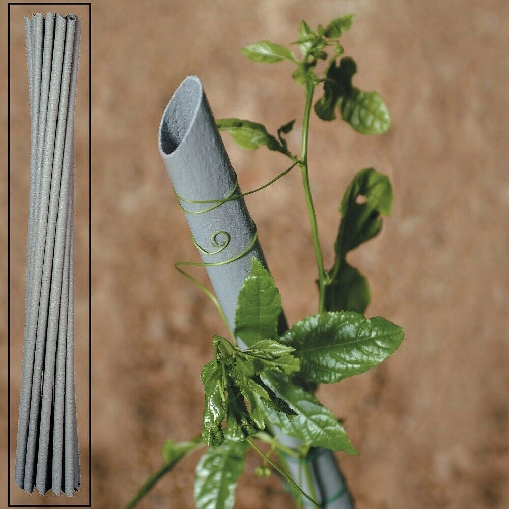 TUTORI TUTORE PVC PER PIANTE PIANTA 20PZ. VIGNA mm. 27 X cm. 150 VASI SOSTEGNO