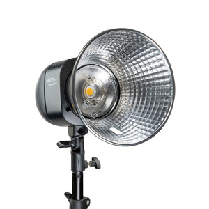 Newcomer 100 Set 2 flash fotografici con potenza di 100 Ws, con radio a 2,4 GHz, softbox 60 x 90 cm e treppiedi per luci, per studio fotografico