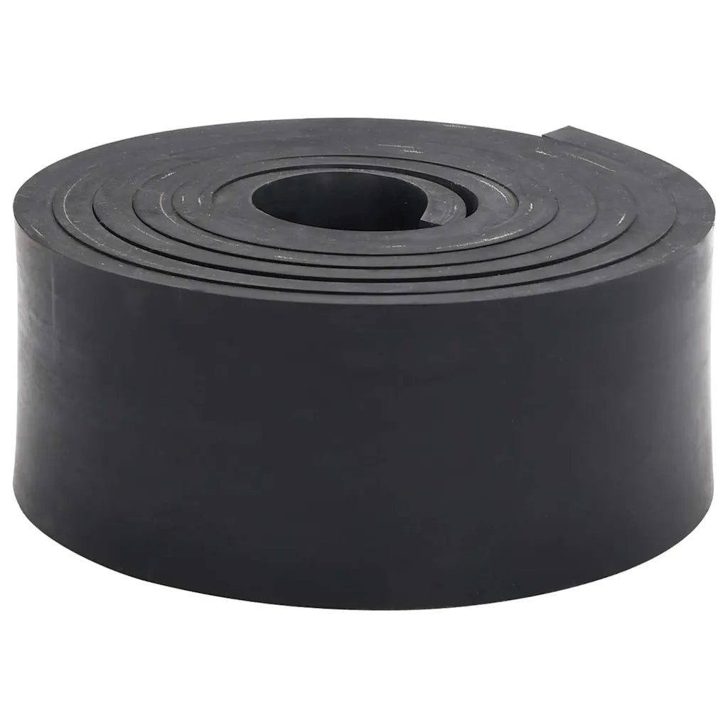 Bordo in Gomma per Spazzaneve Nero 300x8x1 cm