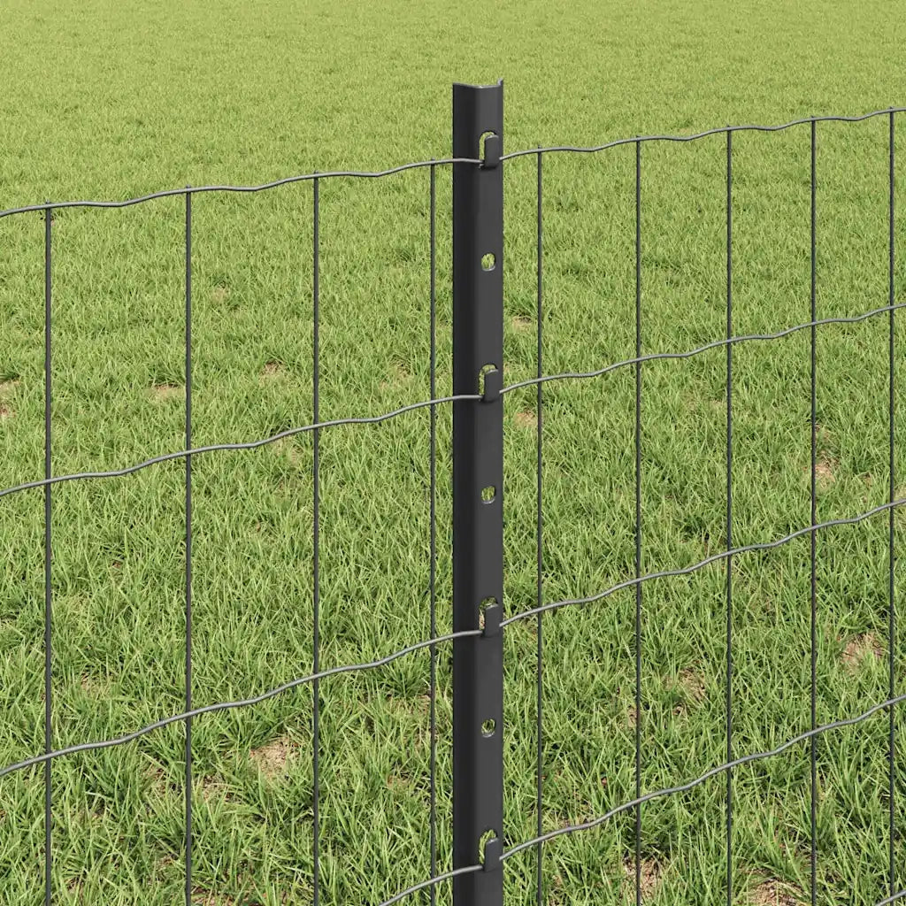 Recinzione da Giardino | Recinzione con Posto Grigio