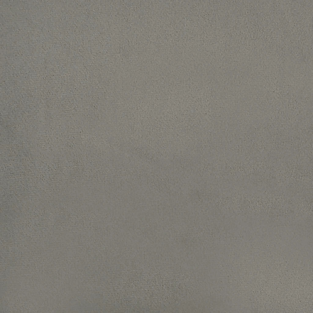 Giroletto senza Materasso Grigio Chiaro 100x200 cm Velluto 347555